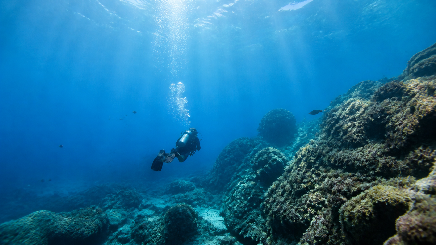 A scuba diver swimming beside a rocky Mediterranean reef in clear blue water