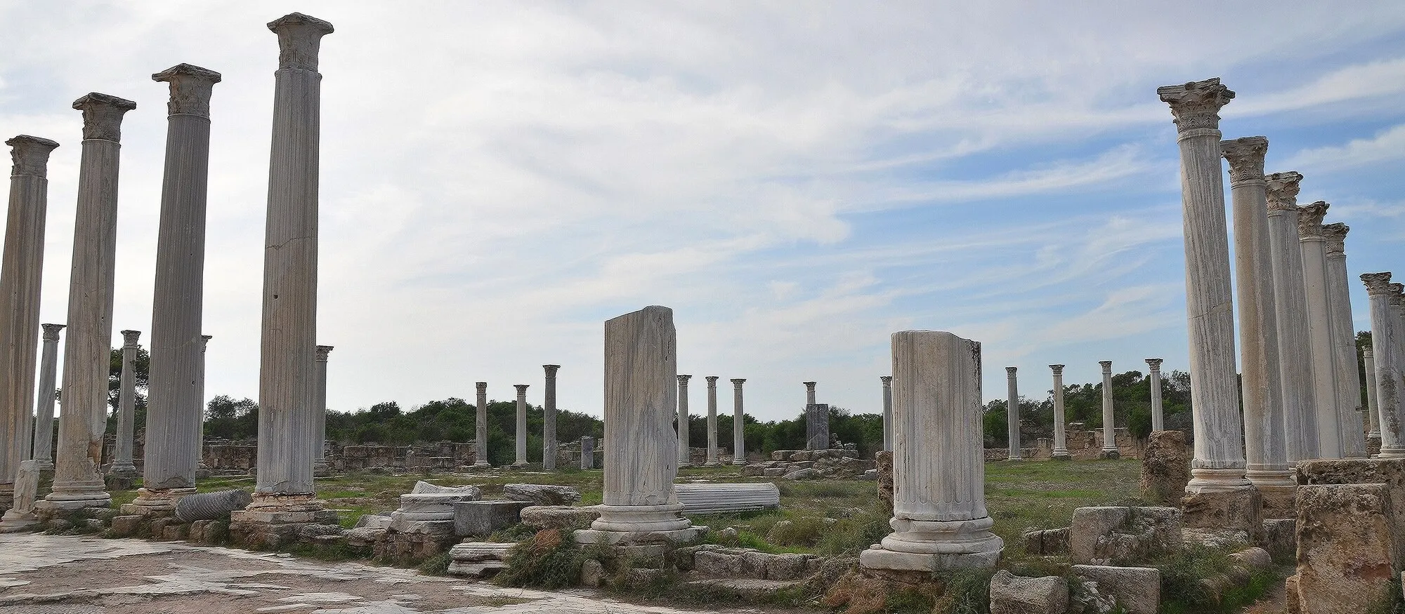 Tall white marble columns with Corinthian capitals around the paved courtyard of the Roman gymnasium at Salamis, with broken column bases in the foreground, low scrub behind and a pale cloudy sky